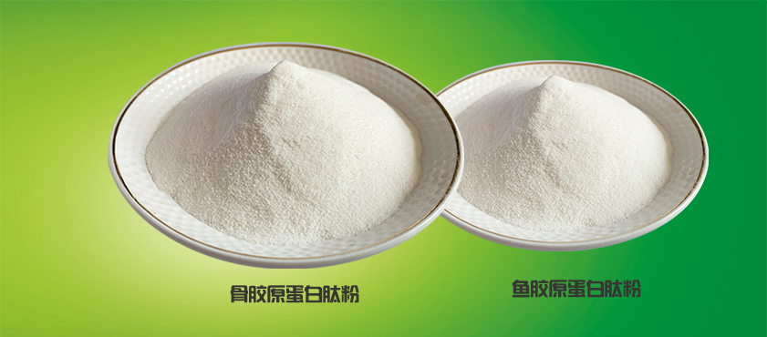 骨+鱼胶原蛋白.jpg